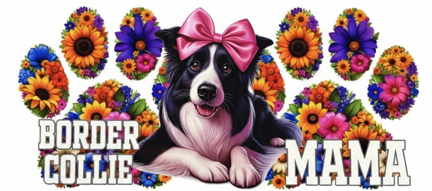 Border Collie Mama