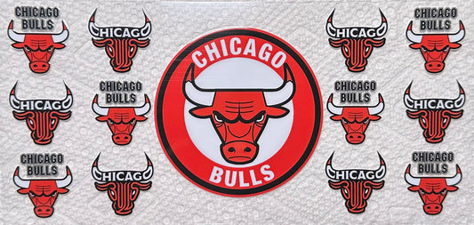 Chicago Bulls #128