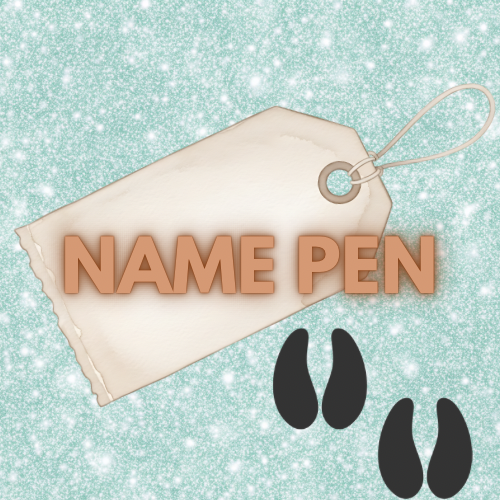 NAME PEN