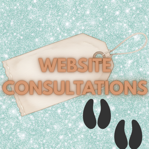 WEBSITE CONSULTATION
